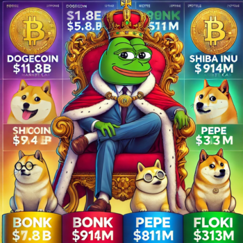 top-meme-coin-2024